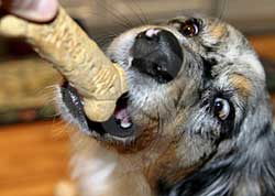 Yummy treat