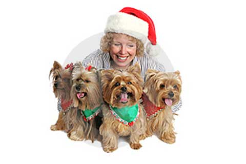 seasonal4