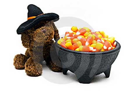 seasonal1